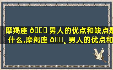 摩羯座 🕊 男人的优点和缺点是什么,摩羯座 🌸 男人的优点和缺点是什么样的